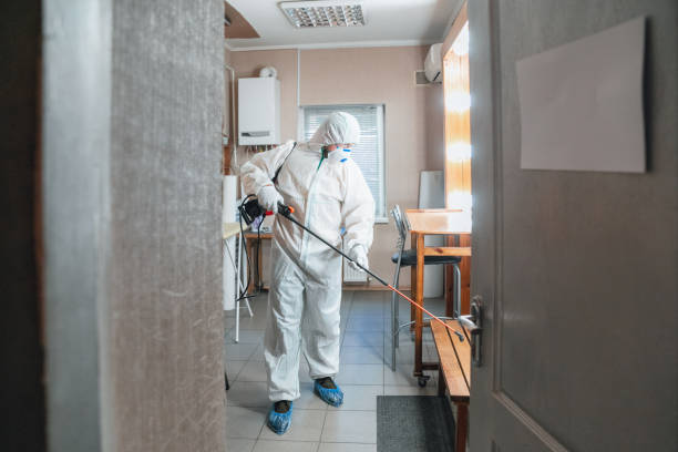 Mold Removal for HVAC Installations in Eldora, IA