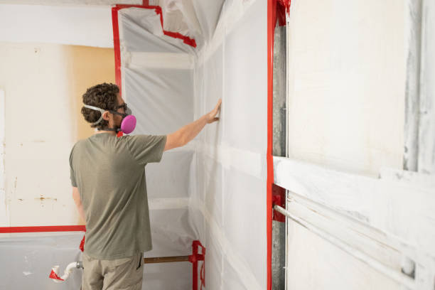 Best Post-Remediation Verification Testing  in Eldora, IA