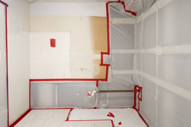 Best Attic Mold Removal  in Eldora, IA
