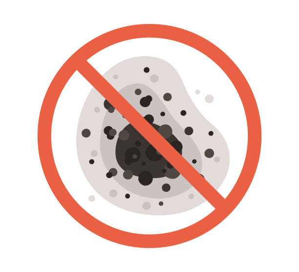 Best Comprehensive Air Testing for Mold Contaminants  in Eldora, IA