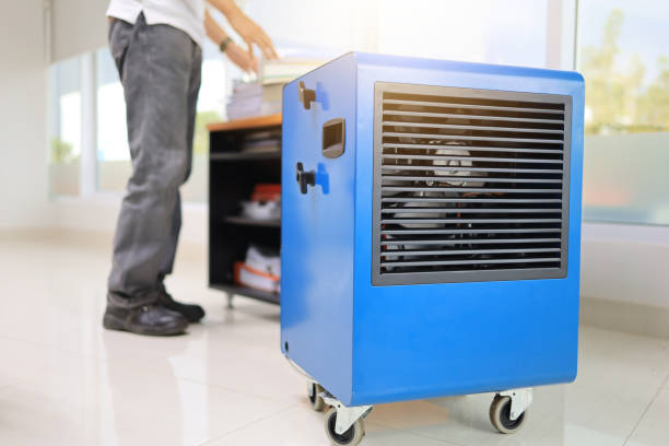 Best Mold Odor Removal Services  in Eldora, IA