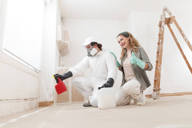 Best Emergency Mold Remediation  in Eldora, IA